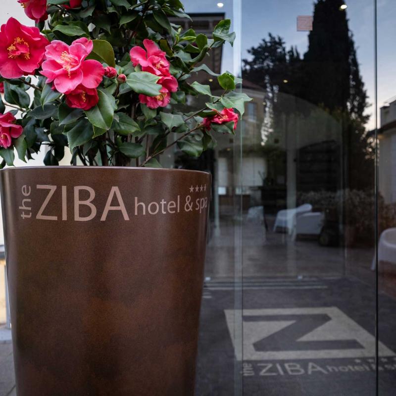 Ingresso del The Ziba Hotel & Spa con vaso di fiori rosa.